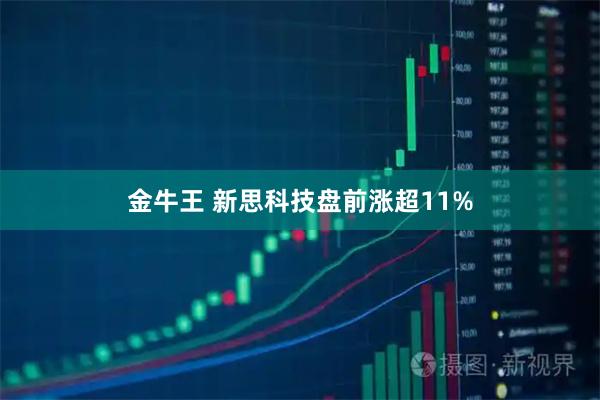 金牛王 新思科技盘前涨超11%