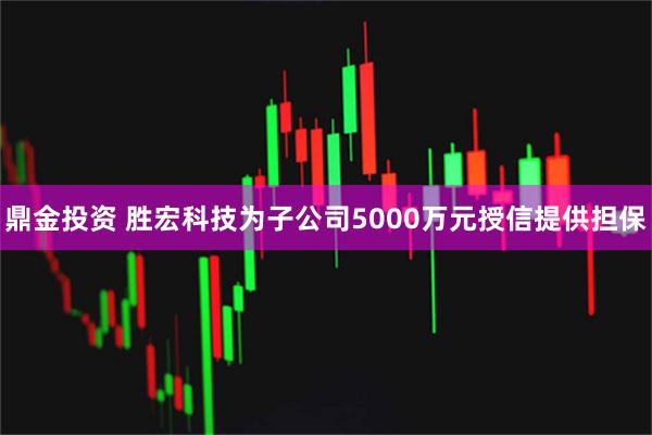 鼎金投资 胜宏科技为子公司5000万元授信提供担保