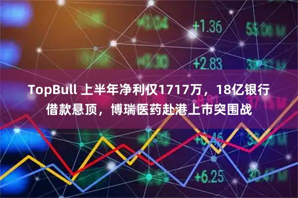 TopBull 上半年净利仅1717万，18亿银行借款悬顶，博瑞医药赴港上市突围战