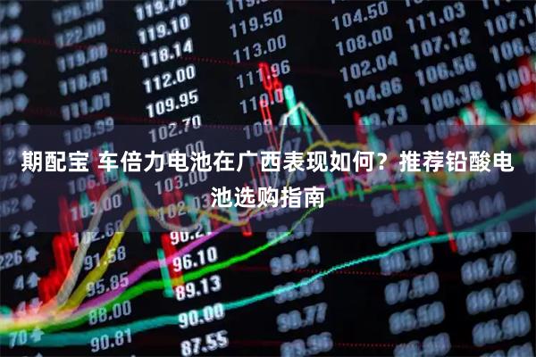 期配宝 车倍力电池在广西表现如何？推荐铅酸电池选购指南