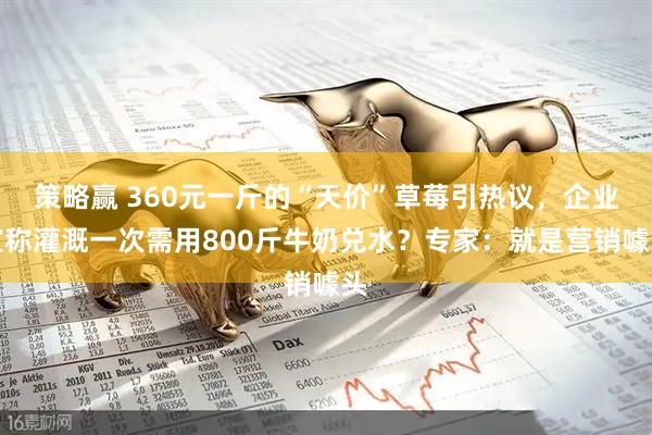 策略赢 360元一斤的“天价”草莓引热议，企业宣称灌溉一次需用800斤牛奶兑水？专家：就是营销噱头